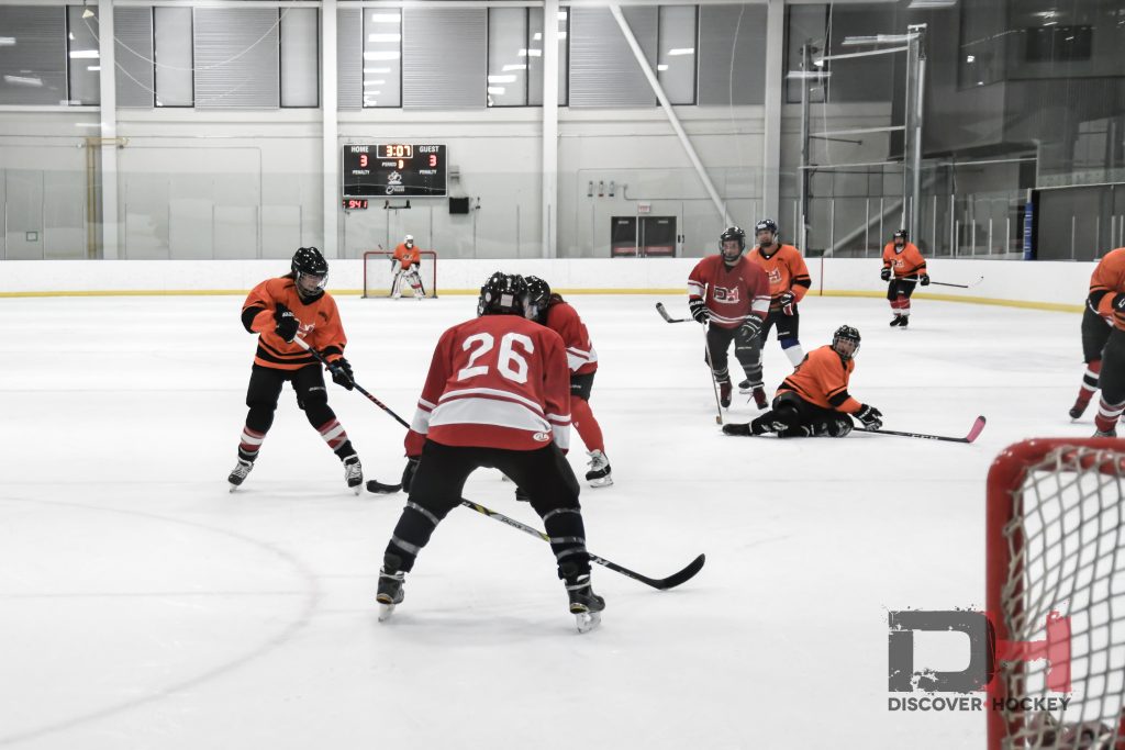 ice hockey and ice skating game