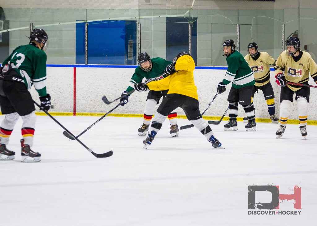 ice hockey and ice skating game